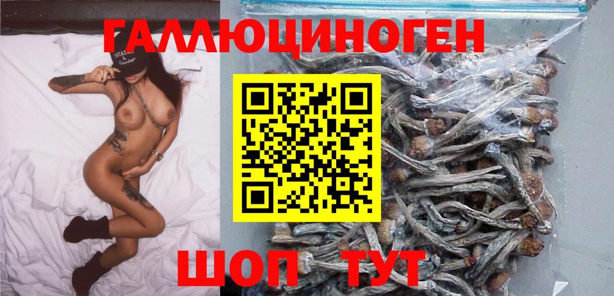 Уварово  Галлюциногенные грибы Cubensis  Галлюциногенные грибы Psilocybe  Вход с VPN 